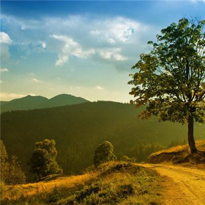 台湾福星彩下载手机版